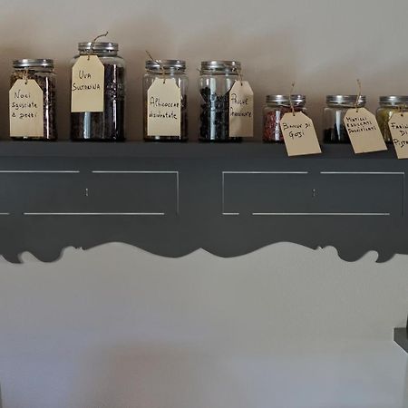 B&B La Taccola カステルヌオーヴォ・ディ・ヴァル・ディ・チェーチナ エクステリア 写真